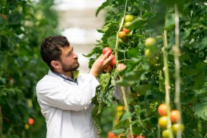 smart farming