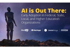 government IT, AI study