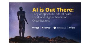 government IT, AI study