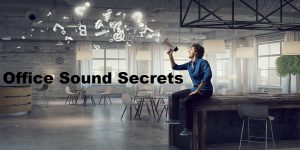 sound absorption for office