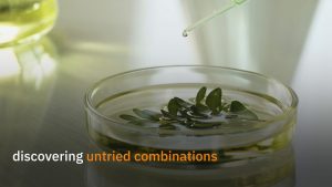 Philyra AI perfume fragrance