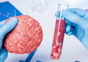 Cultured Meat, lab grown meat