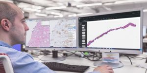 Phillips Paige AI, clinical artificial intelligence