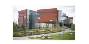 Radiant Technology, collaboration technology systems