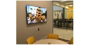Sony BRAVIA, collaborative displays