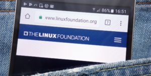 Linux Foundation Open Source Program, software development