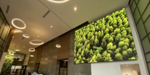 Sharp NEC videowall displaying forests on the screen in the Avison Young building lobby.