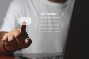 Password Manager, login stress, passwordless authentication