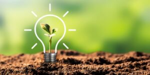 Gartner IT Trends, Sustainability